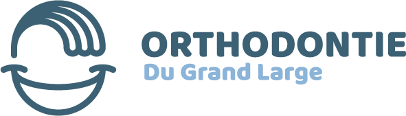 Maintenance Apple Mac 11 lazy